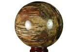 Colorful Petrified Wood Sphere - Madagascar #163368-1